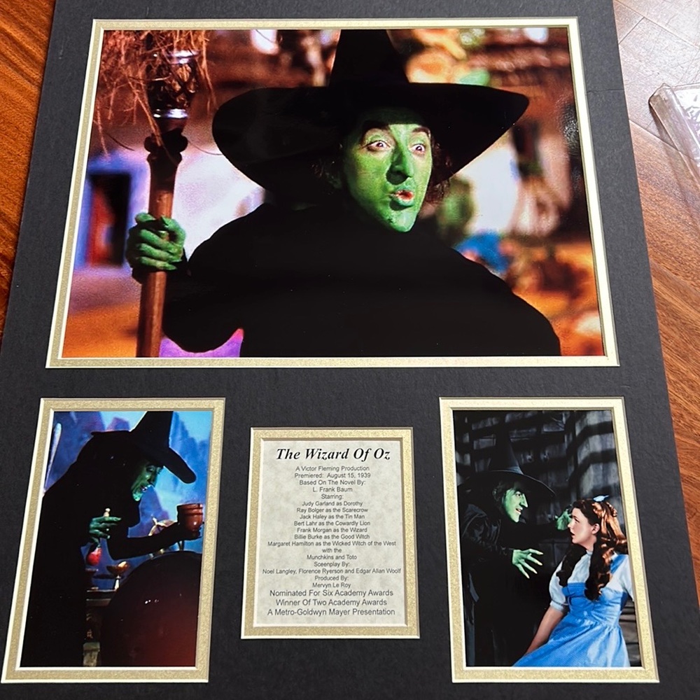 Wizard of Oz Artwork 16 x 20